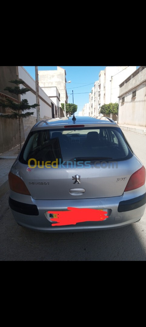 Peugeot 307 2005 307