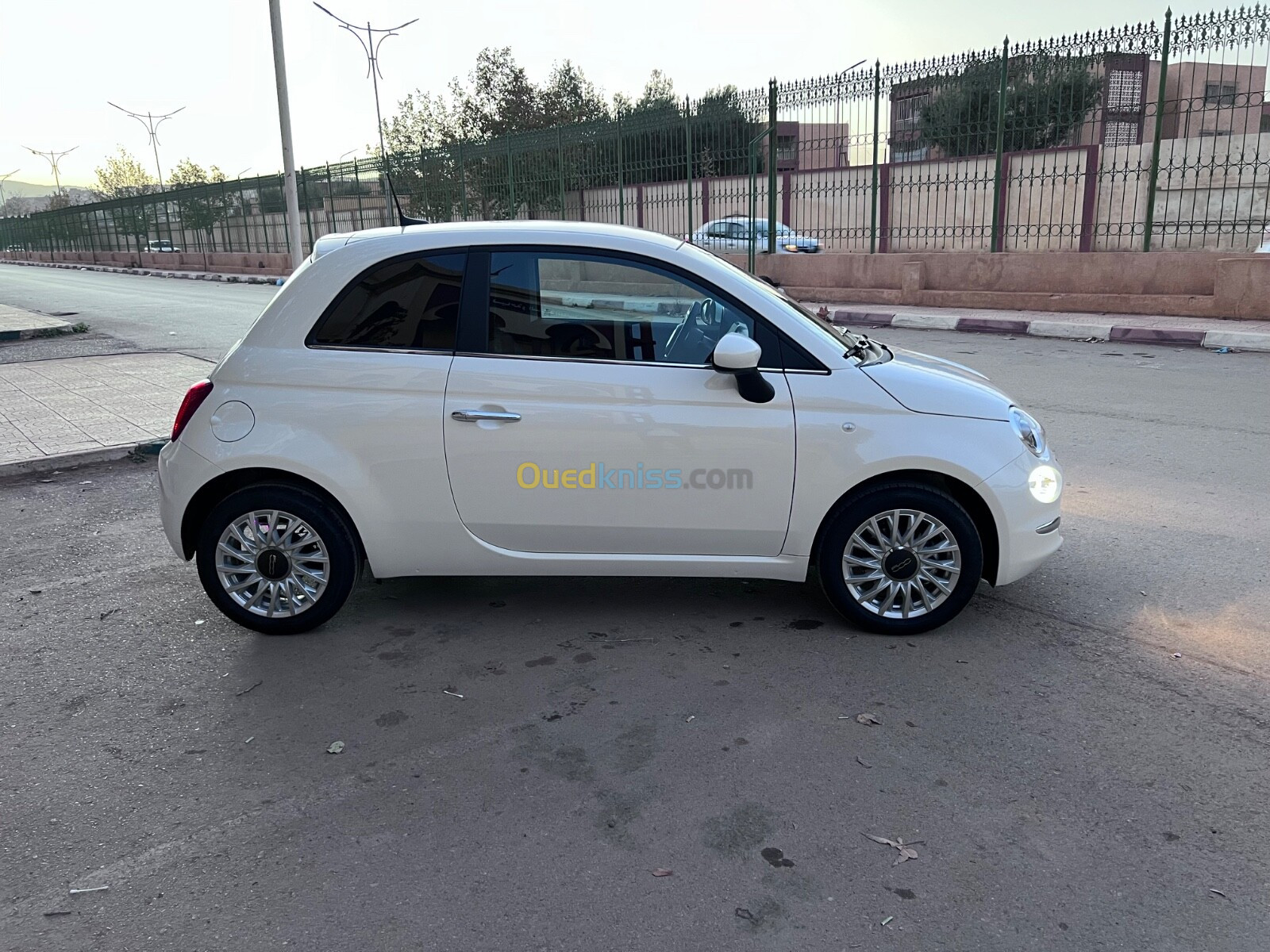 Fiat Professional 500 2024 Dolce vita