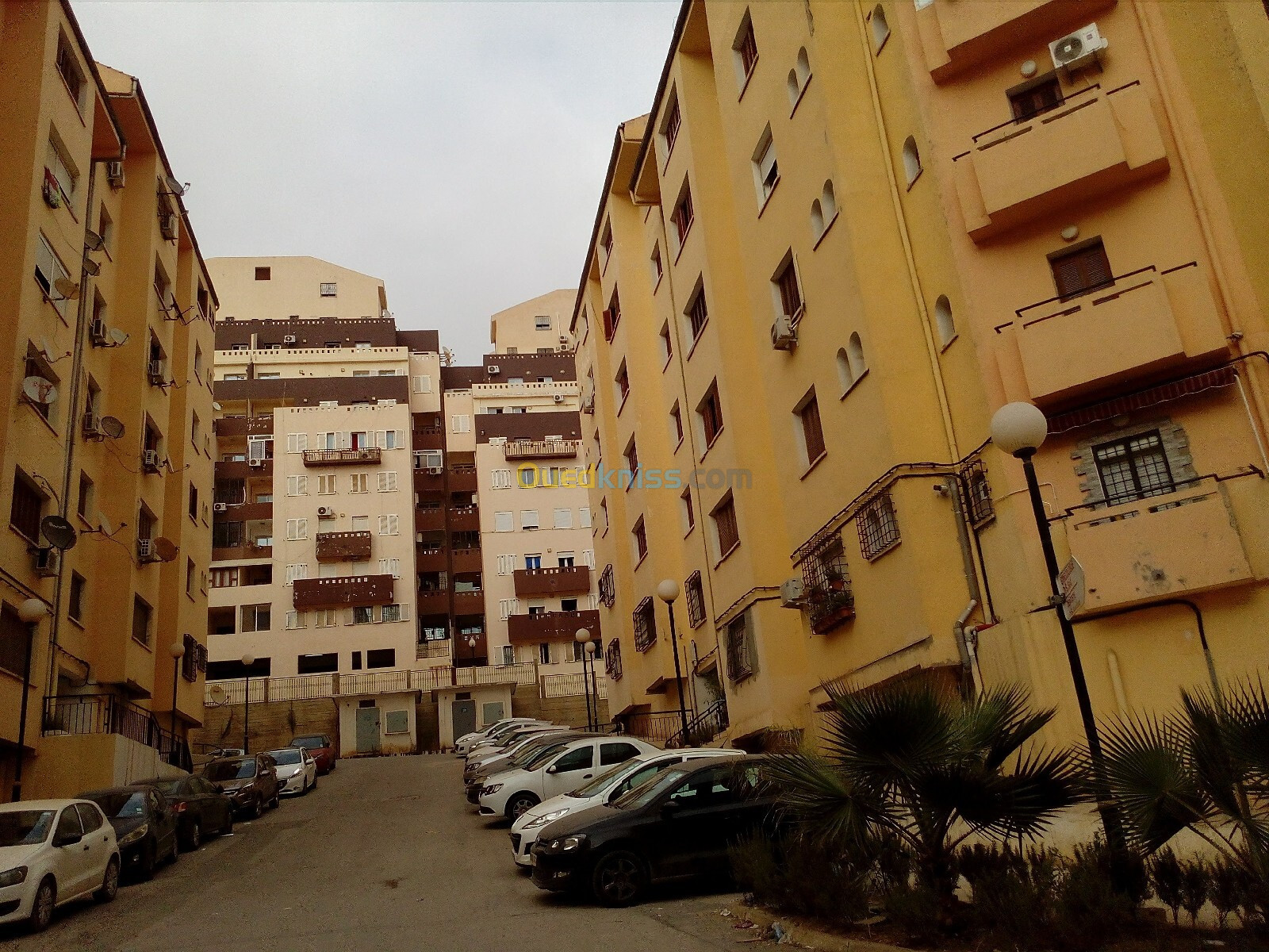 Location Appartement F3 Alger Cheraga