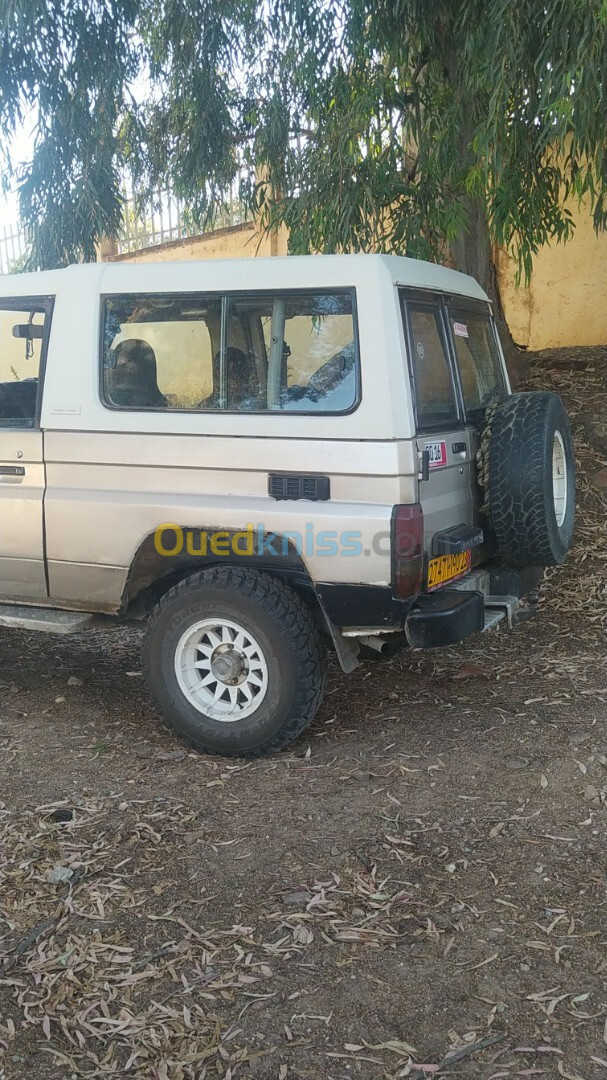 Toyota Land Cruiser 1990 Court