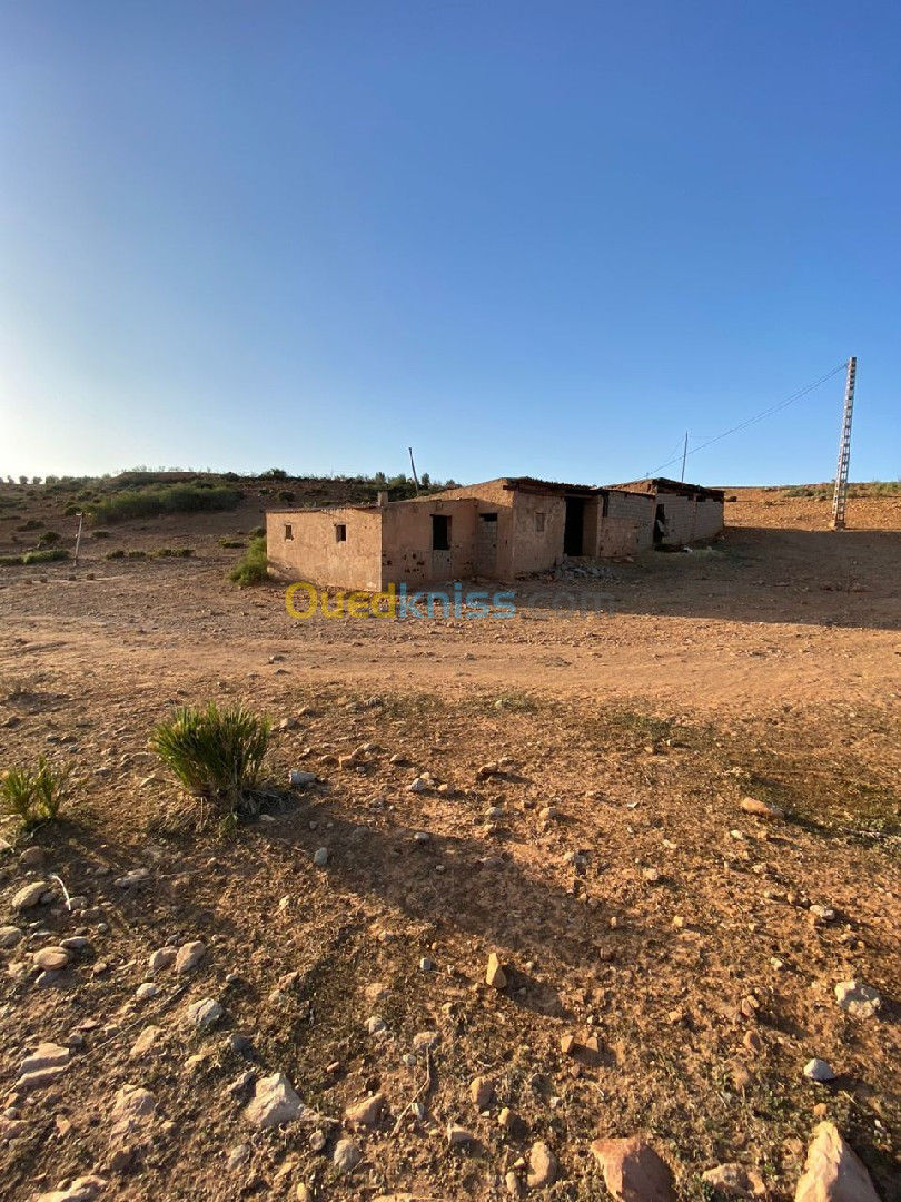 Vente Terrain Tlemcen Sidi abdelli