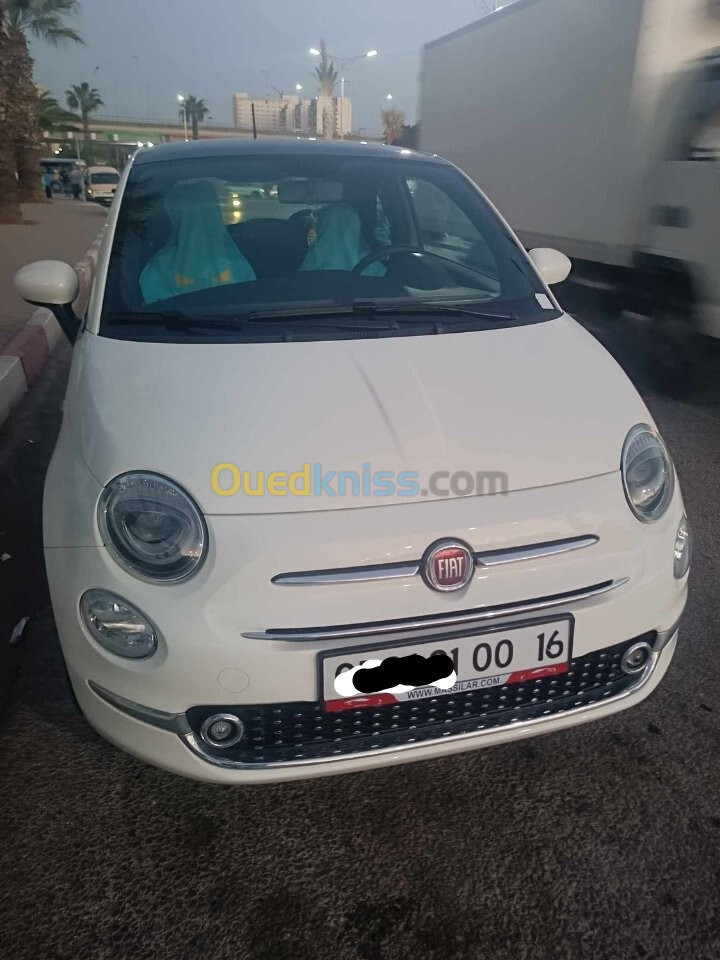 Fiat 500 2024 