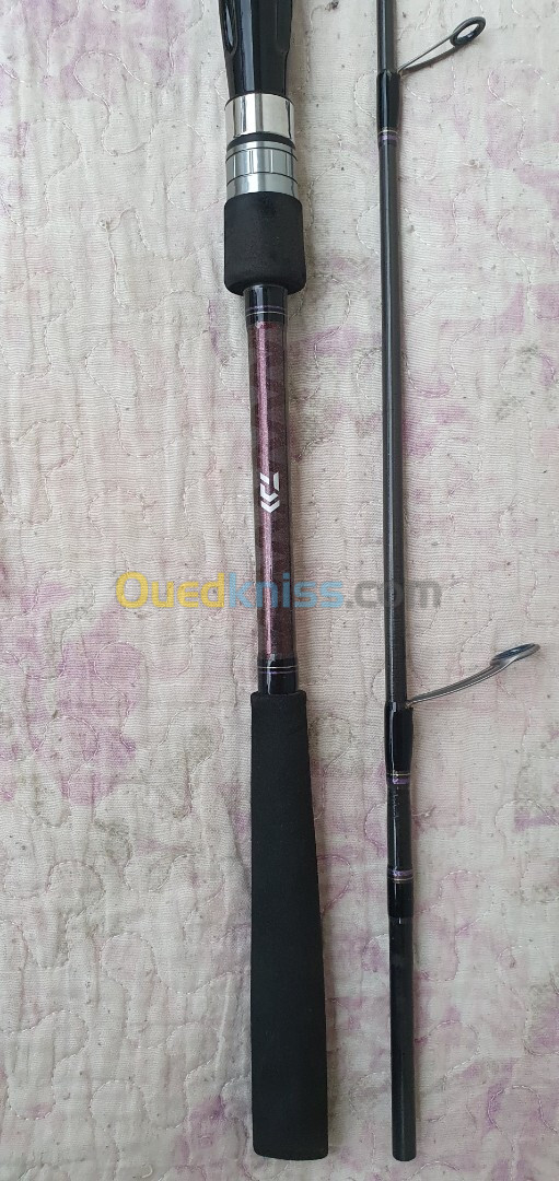 canne daiwa saltist 802 MH