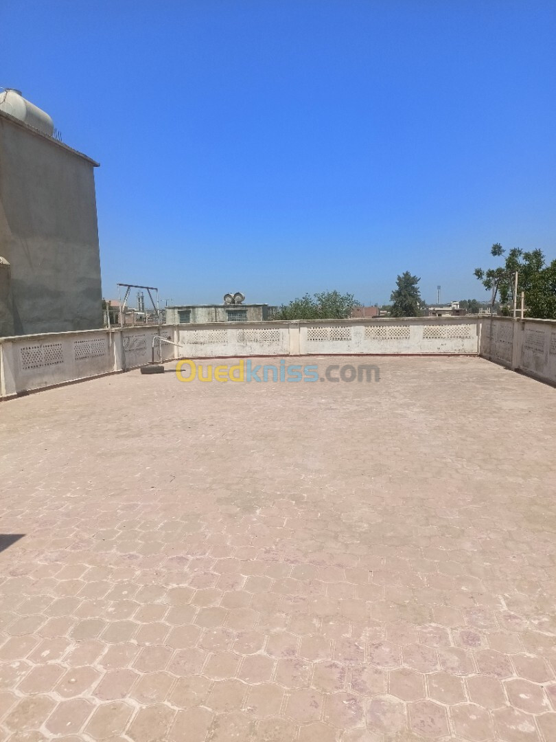 Location Niveau De Villa F5 Alger Les eucalyptus