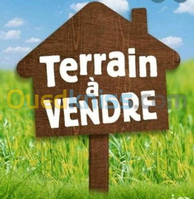 Vente Terrain Tlemcen Hammam boughrara