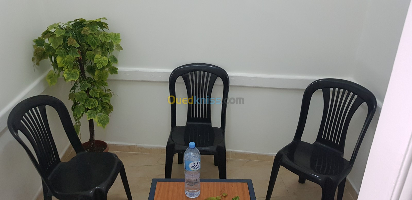 Vente Appartement F2 Alger Bab el oued