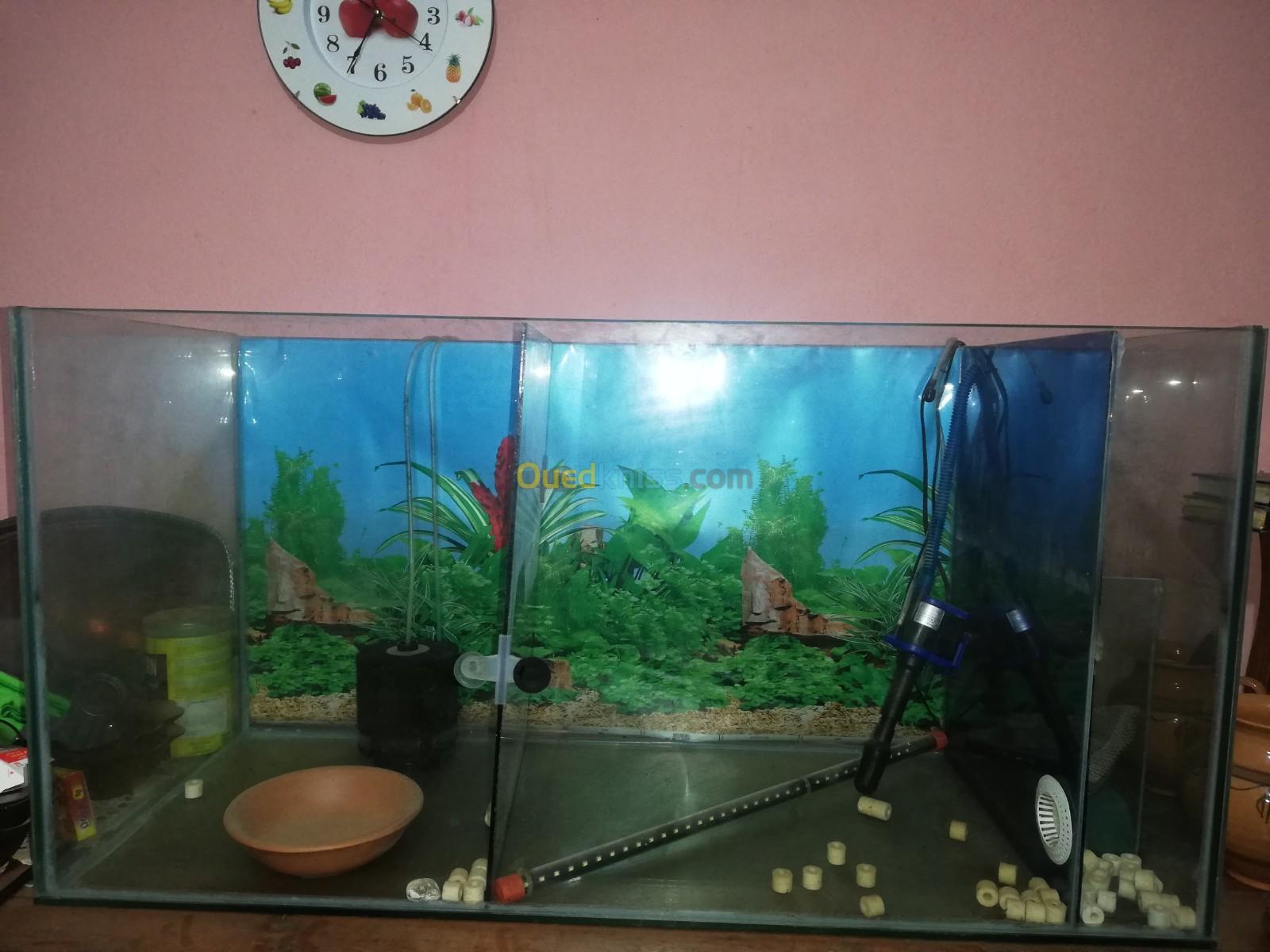 Aquarium pour poisson 100x40x50