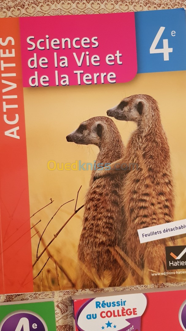 Livre de français