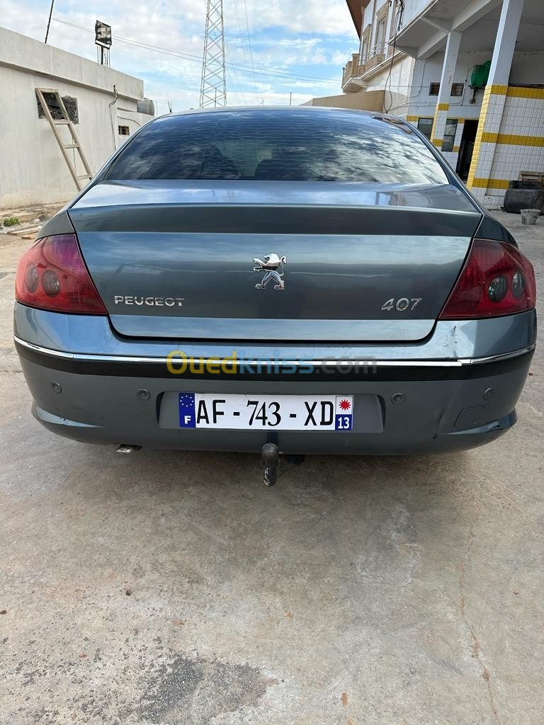 Peugeot 407 2006 407