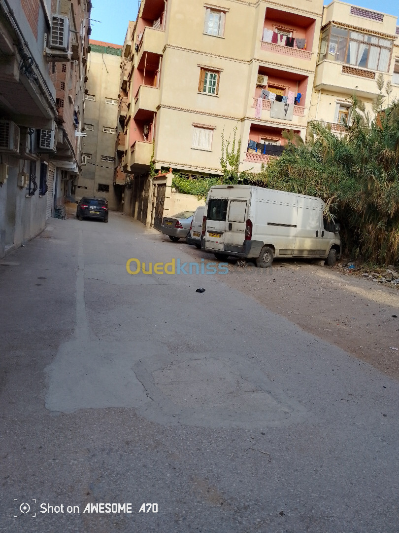 Vente Terrain Alger Reghaia