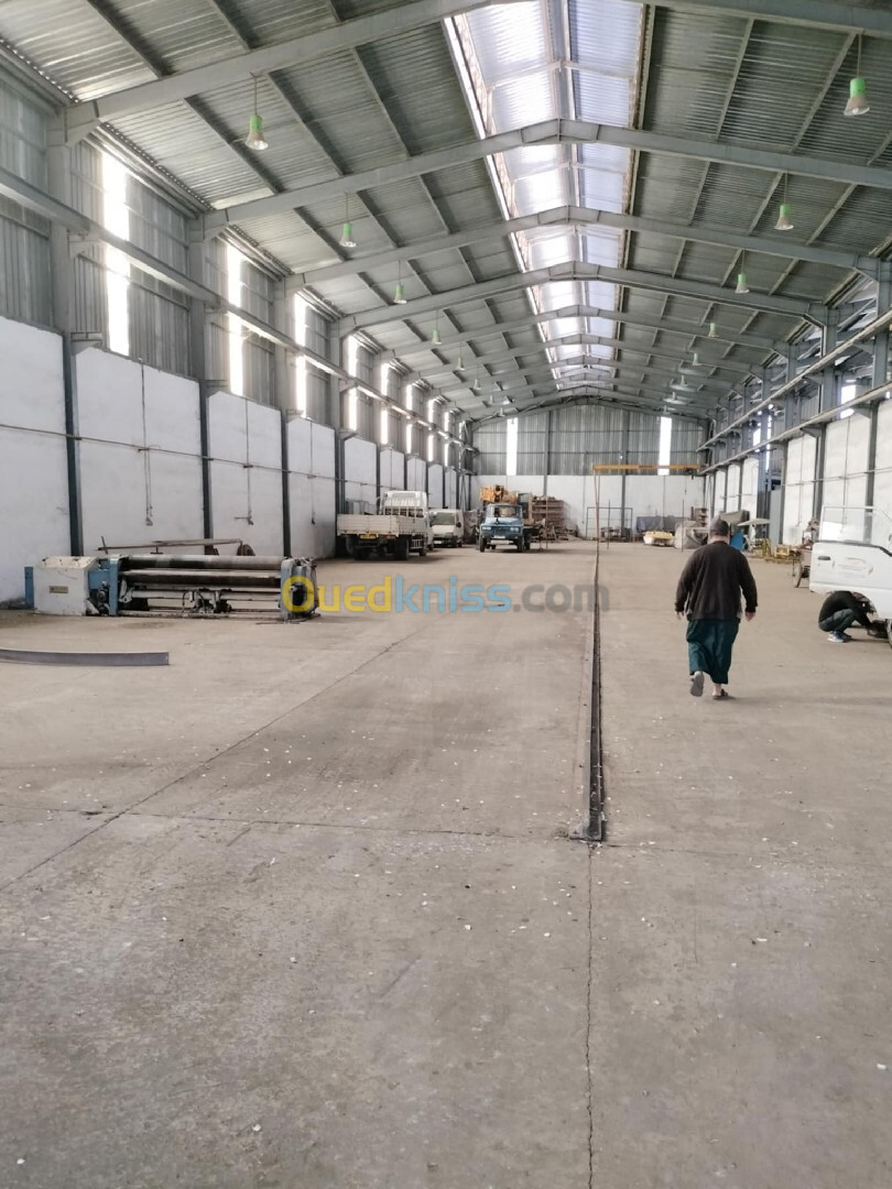 Location Hangar Annaba Barrahel