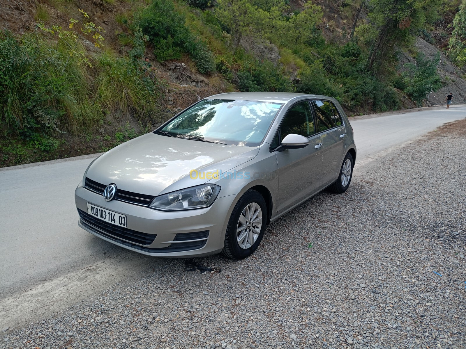 Volkswagen Golf 7 2014 Trendline