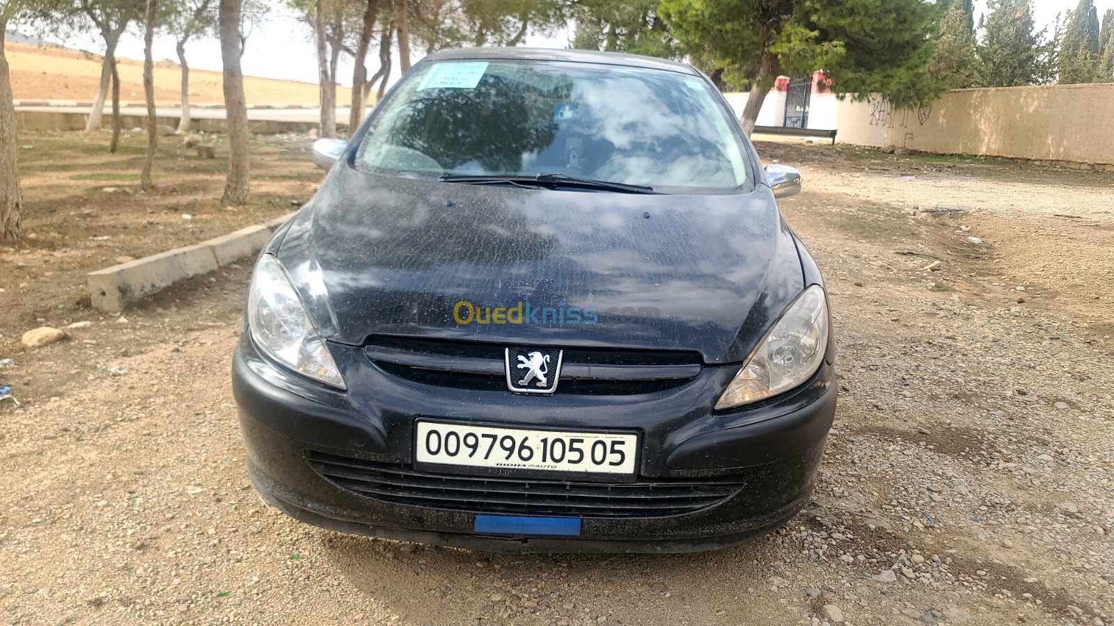 Peugeot 307 2005 307