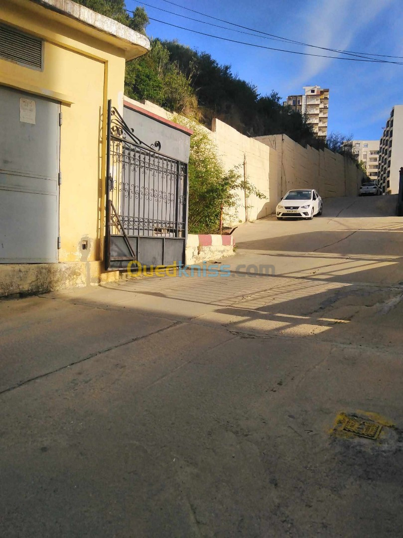 Vente Duplex F6 Annaba Annaba