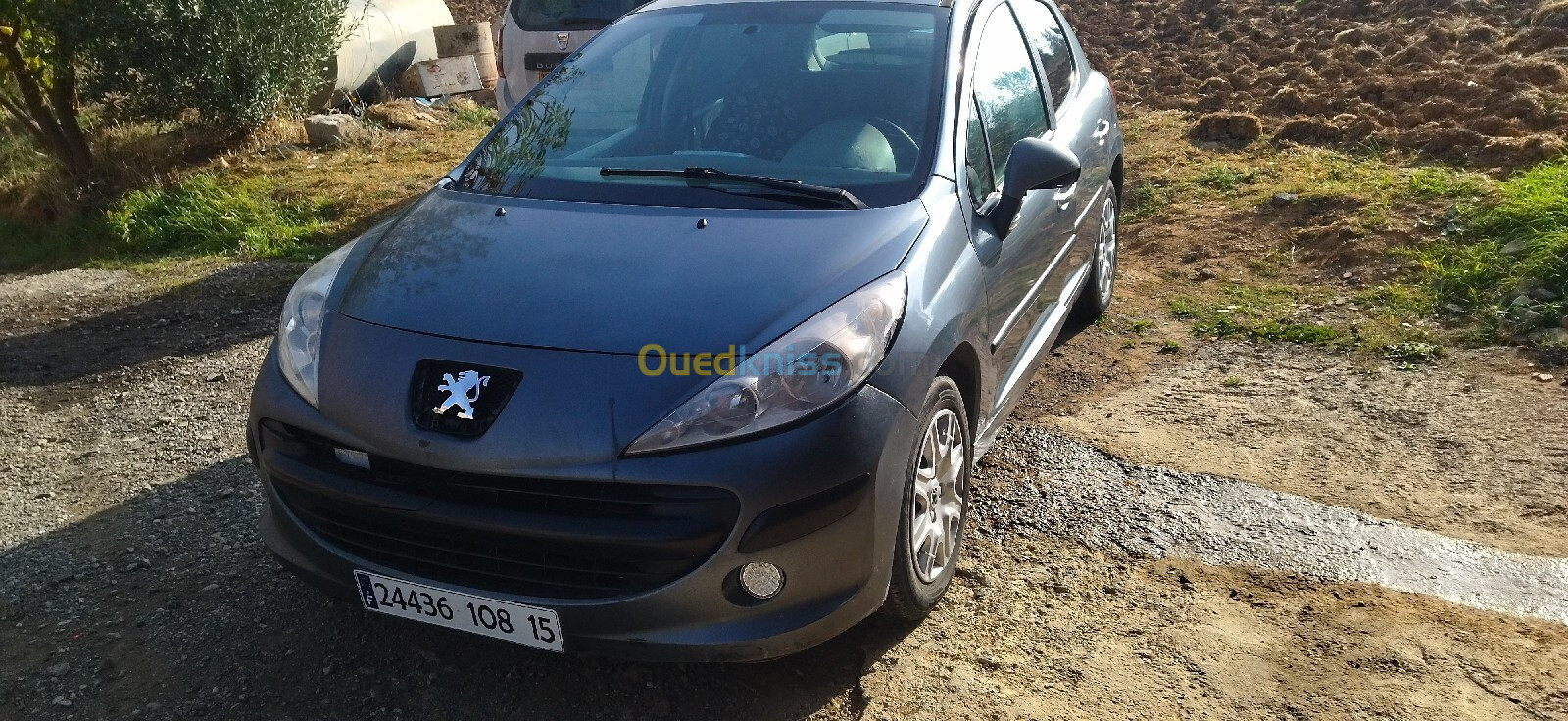 Peugeot 207 2008 207