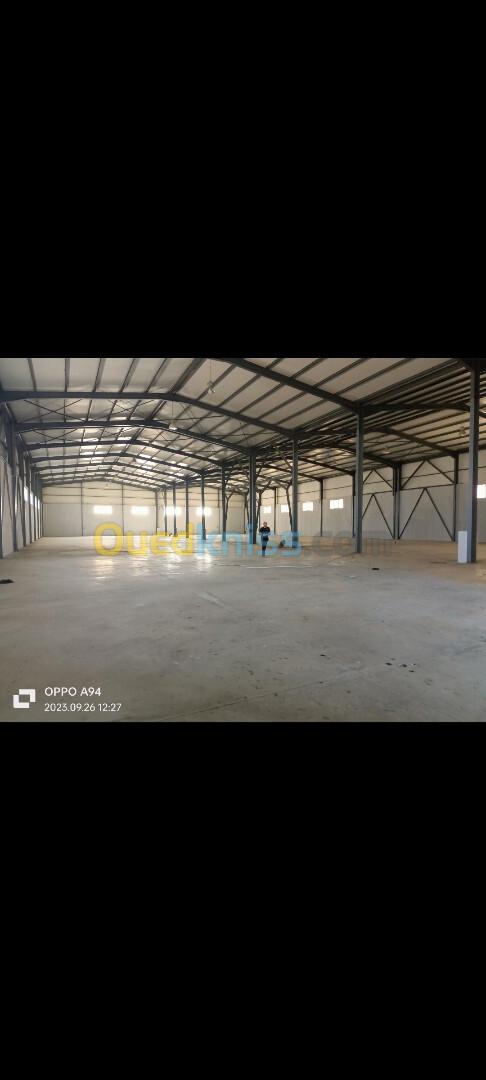 Location Hangar Blida Meftah