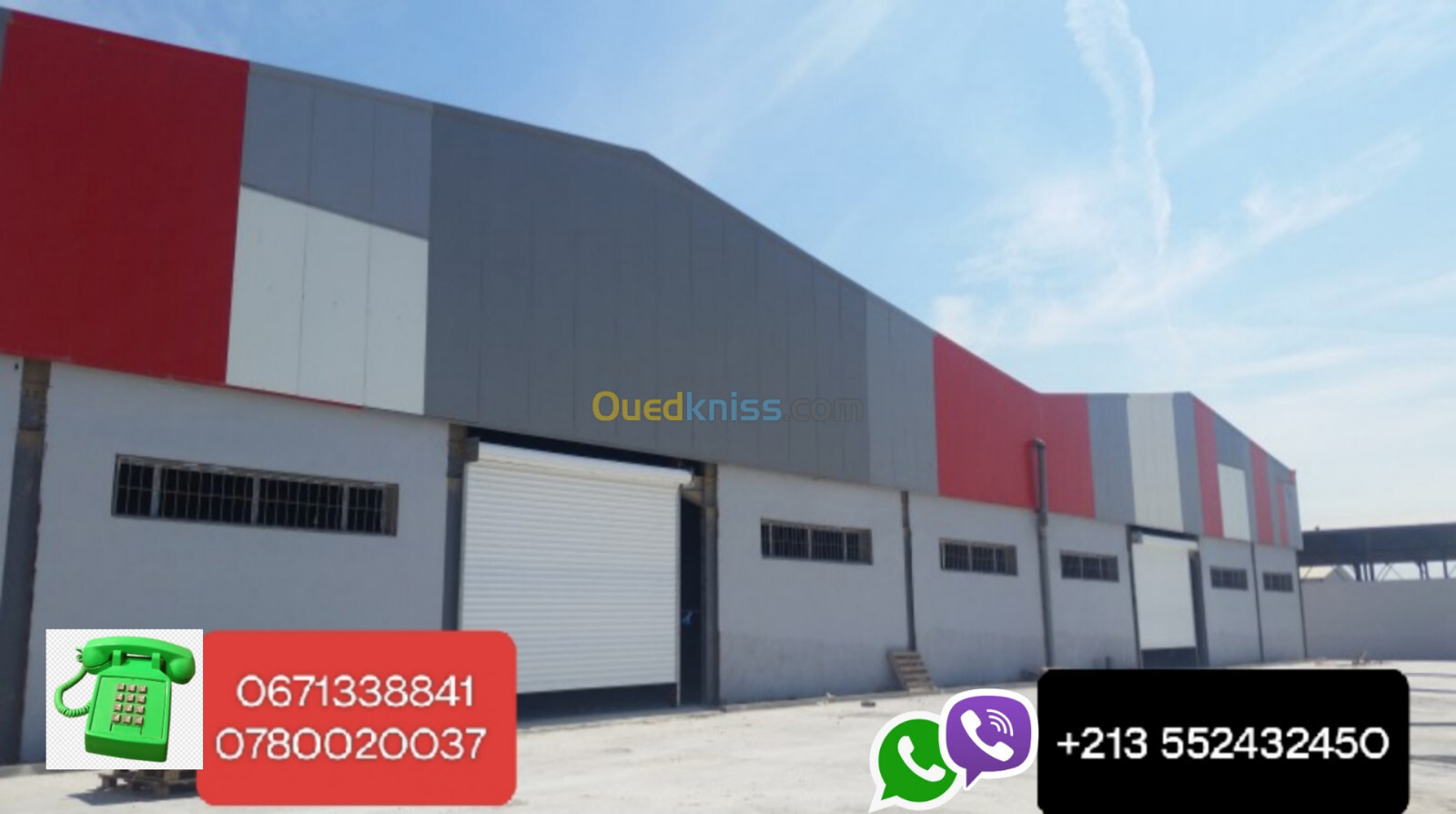 Location Hangar Alger Les eucalyptus