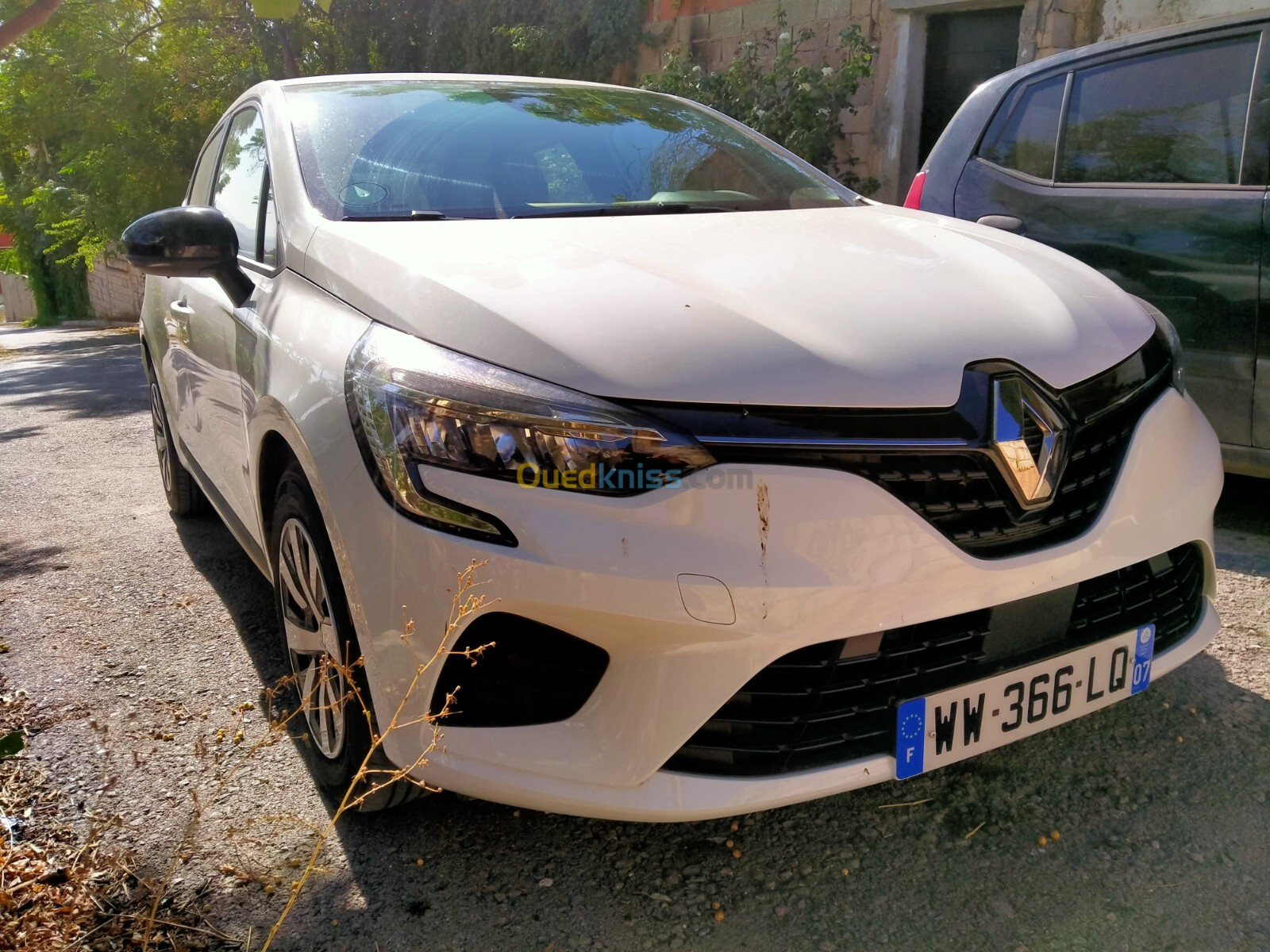 Renault Clio 2023 Businesses