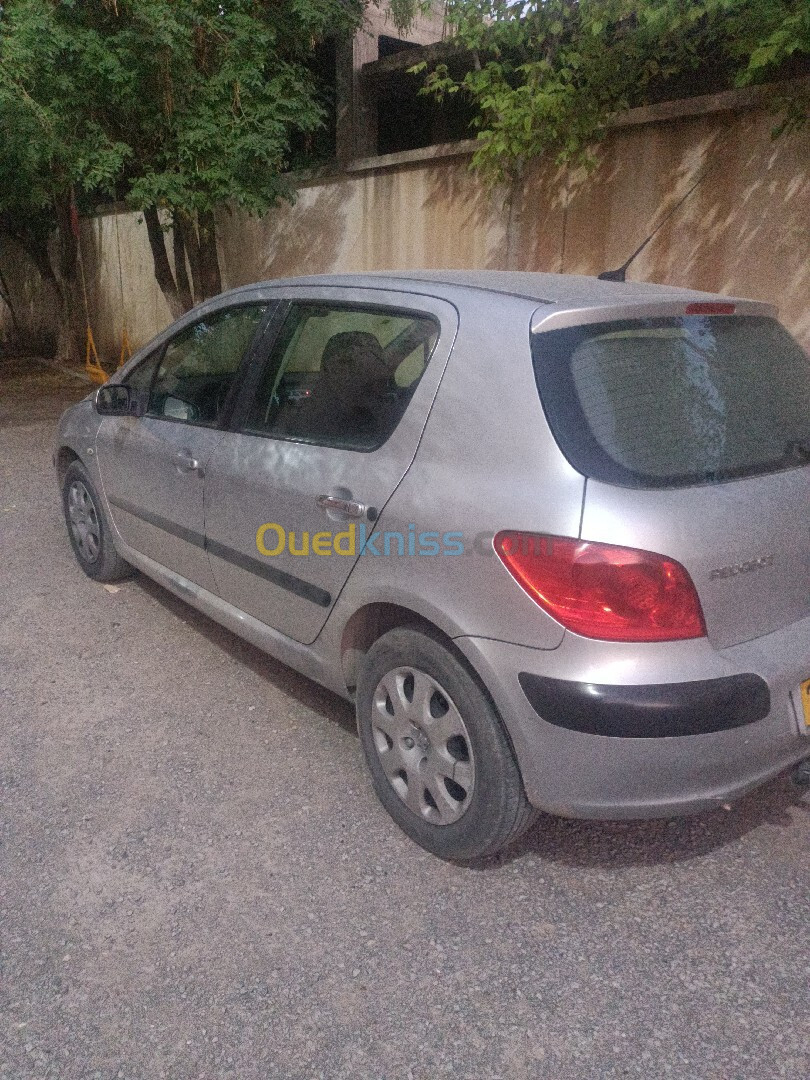 Peugeot 307 2006 307