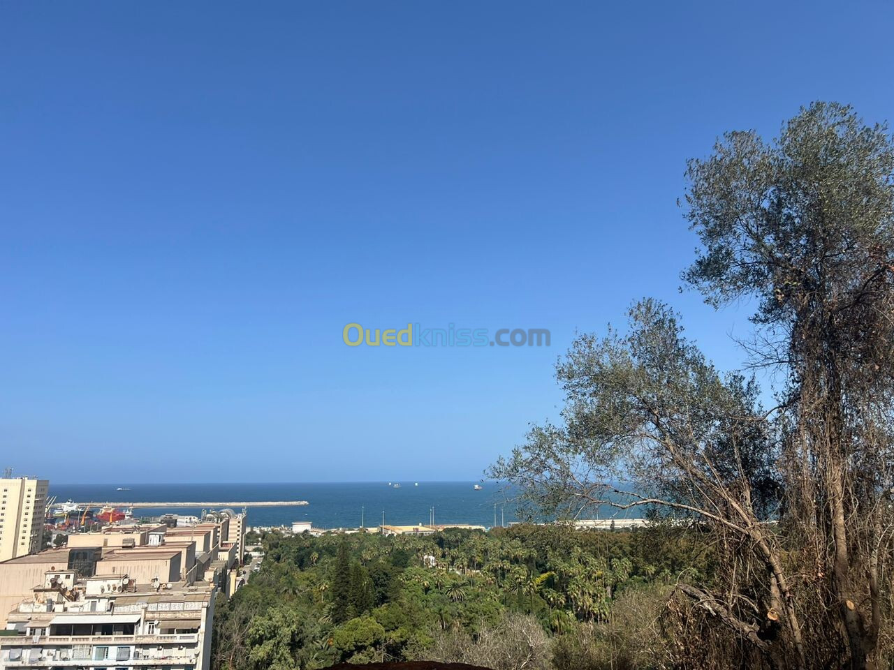 Vente Appartement F3 Alger Belouizdad