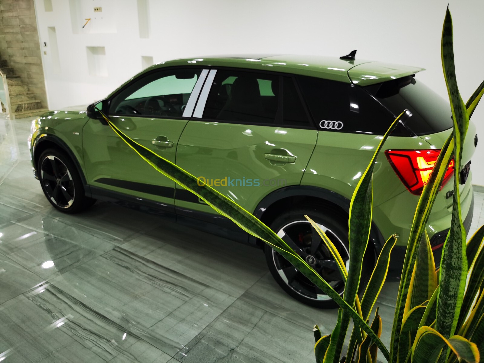 Audi Q2 2024 Sline