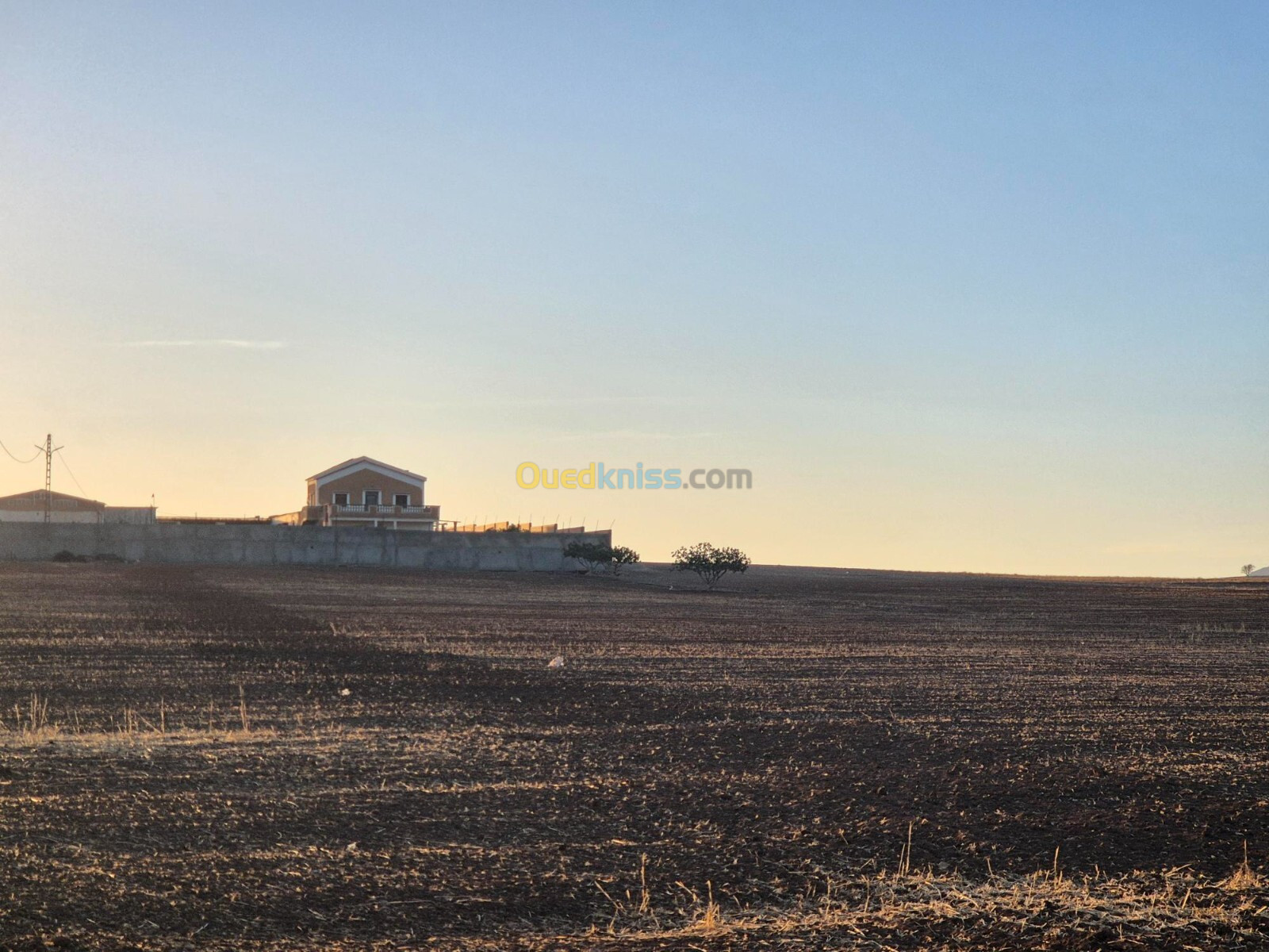 Location Terrain Agricole Sidi Bel Abbès Sidi lahcene