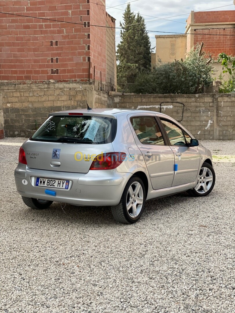 Peugeot 307 2006 307