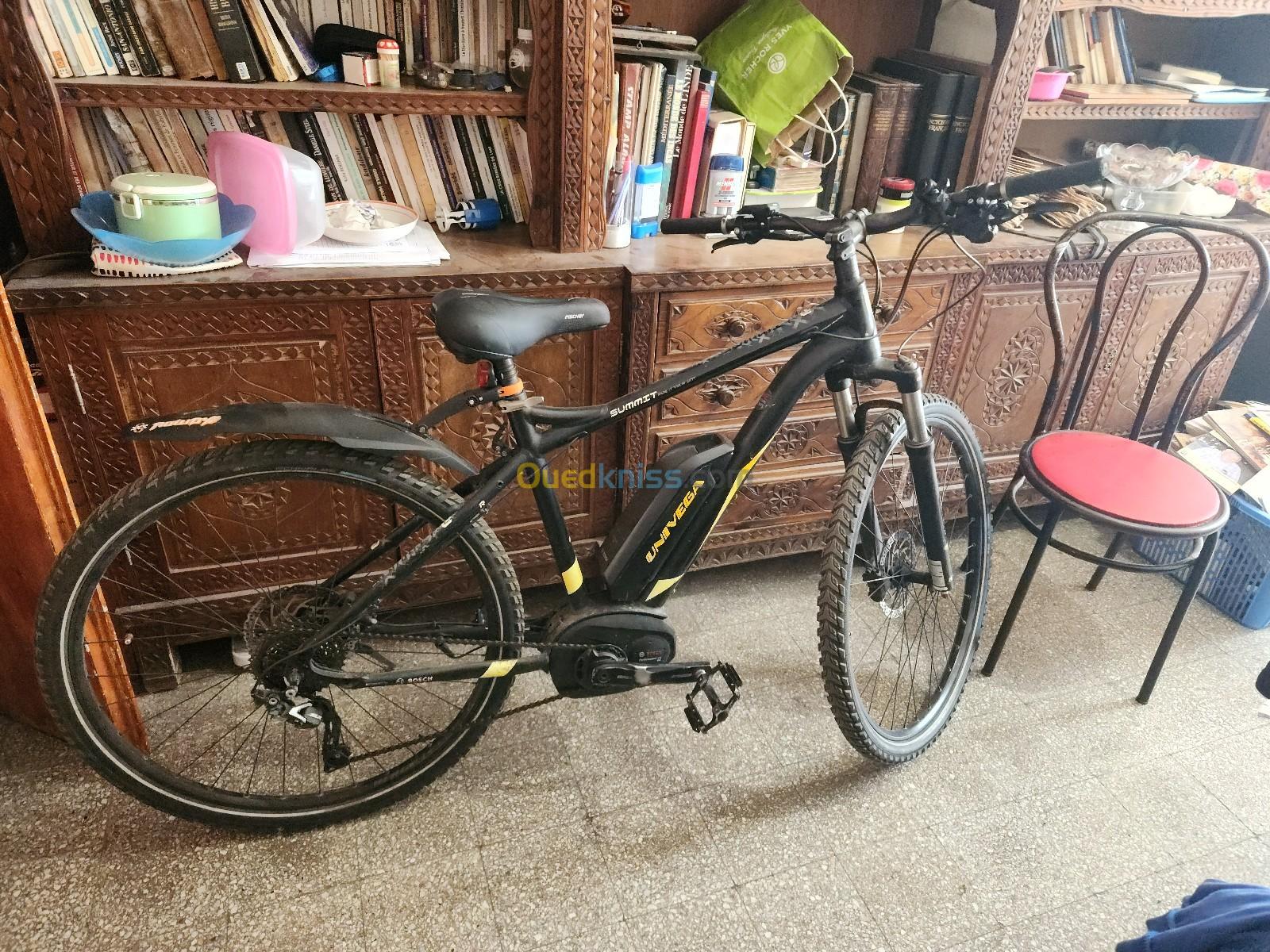 Velo electrique 