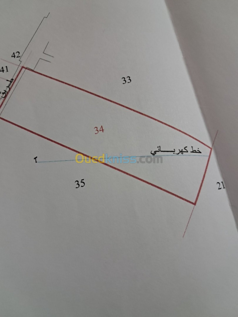 Vente Terrain Sétif Ain azel