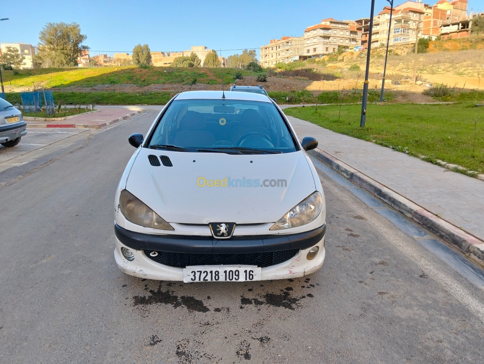 Peugeot 206 Sedan 2009 206 Sedan