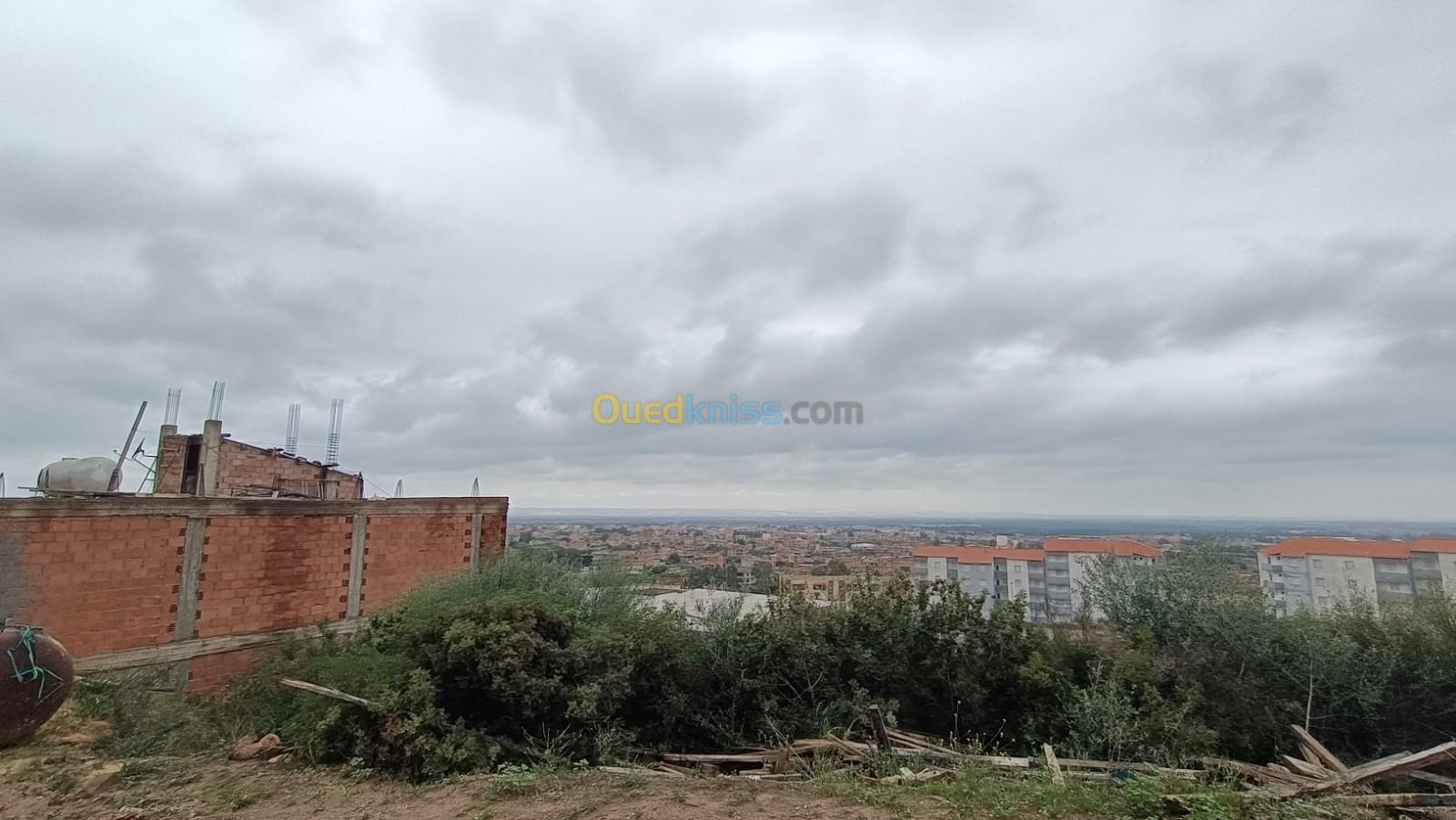 Vente Terrain Blida Ouled selama