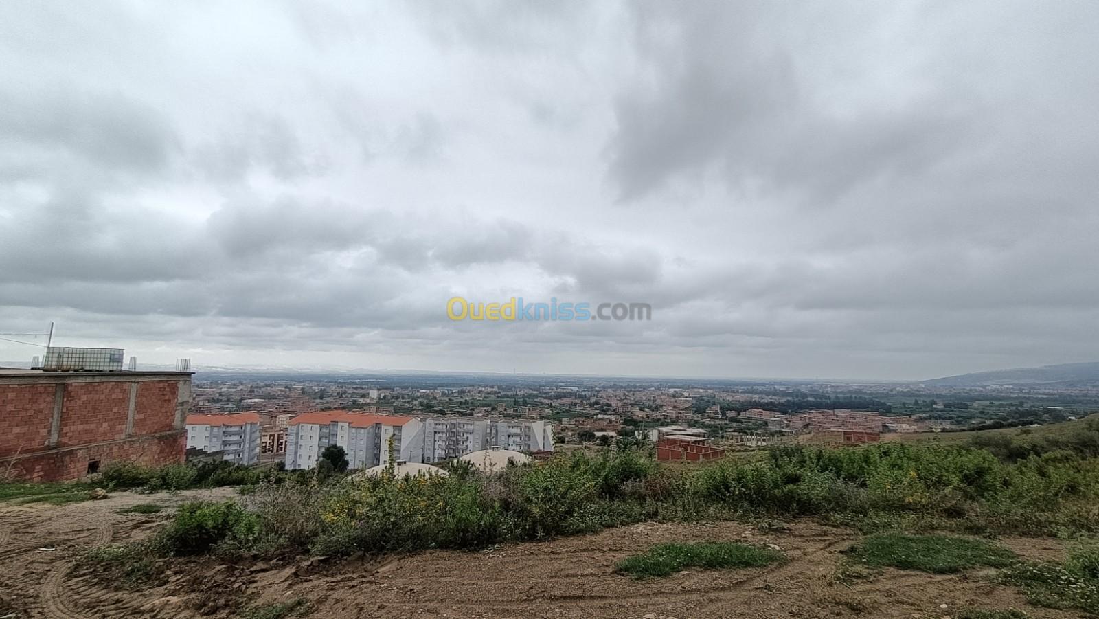 Vente Terrain Blida Ouled selama