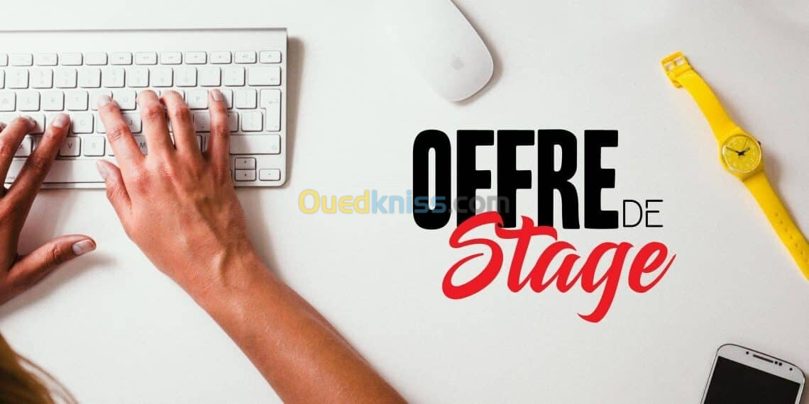 Stagiaire Community Manager