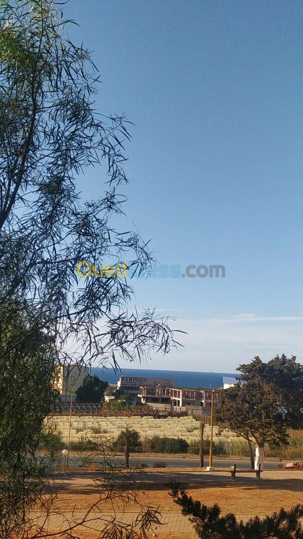 Vente Appartement F3 Alger Zeralda