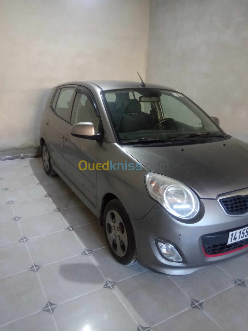 Kia Picanto 2010 fani