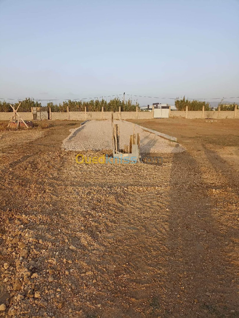 Vente Terrain Boumerdès Ouled moussa