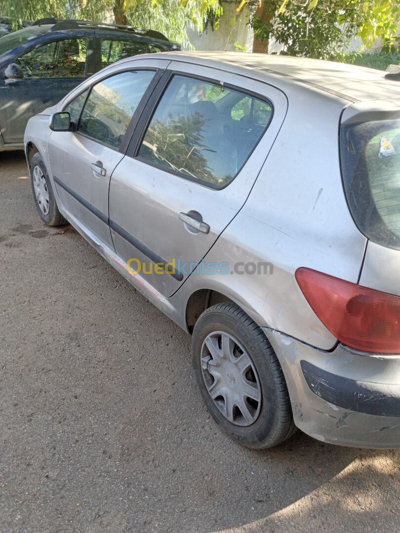 Peugeot 307 2004 307