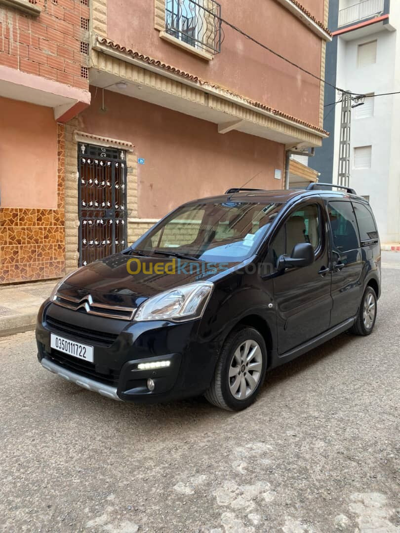 Citroen Berlingo 2017 Berlingo