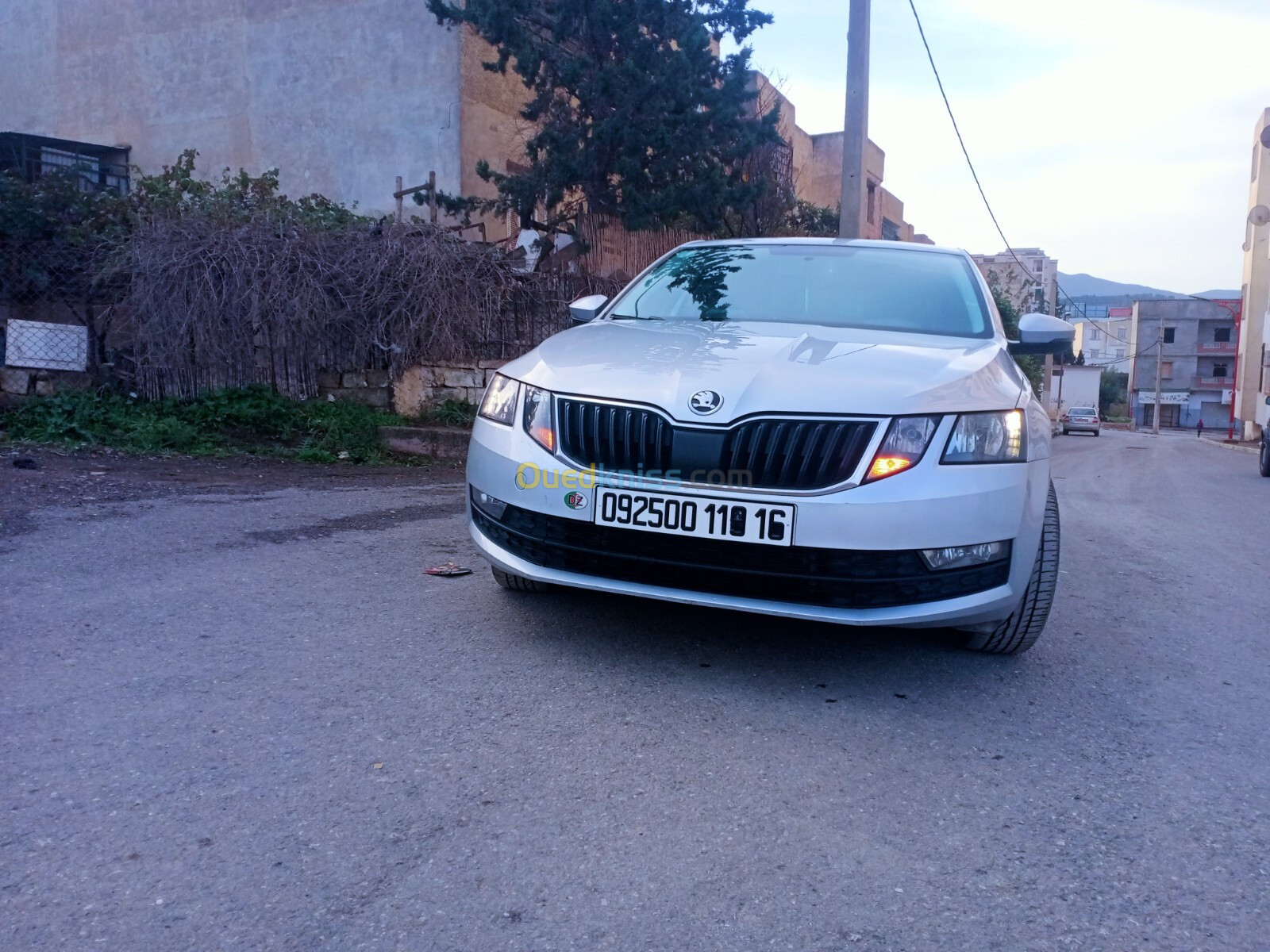 Skoda Octavia Combi 2019 Octavia Combi