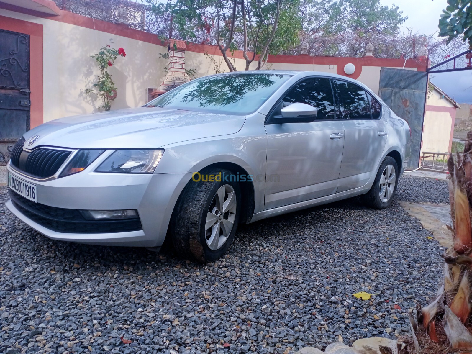 Skoda Octavia Combi 2019 Octavia Combi