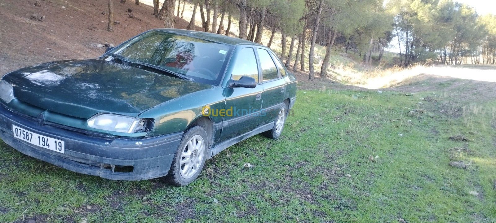 Renault Safrane 1994 Safrane