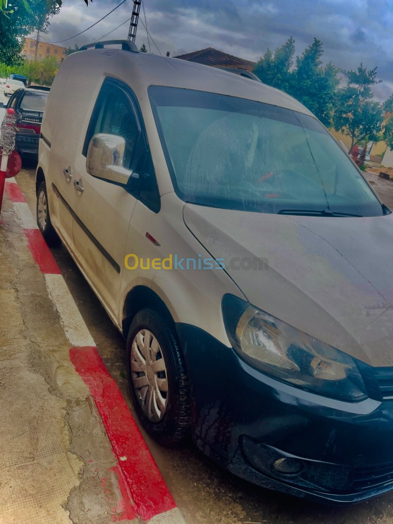 Volkswagen Caddy 2013 Trendline