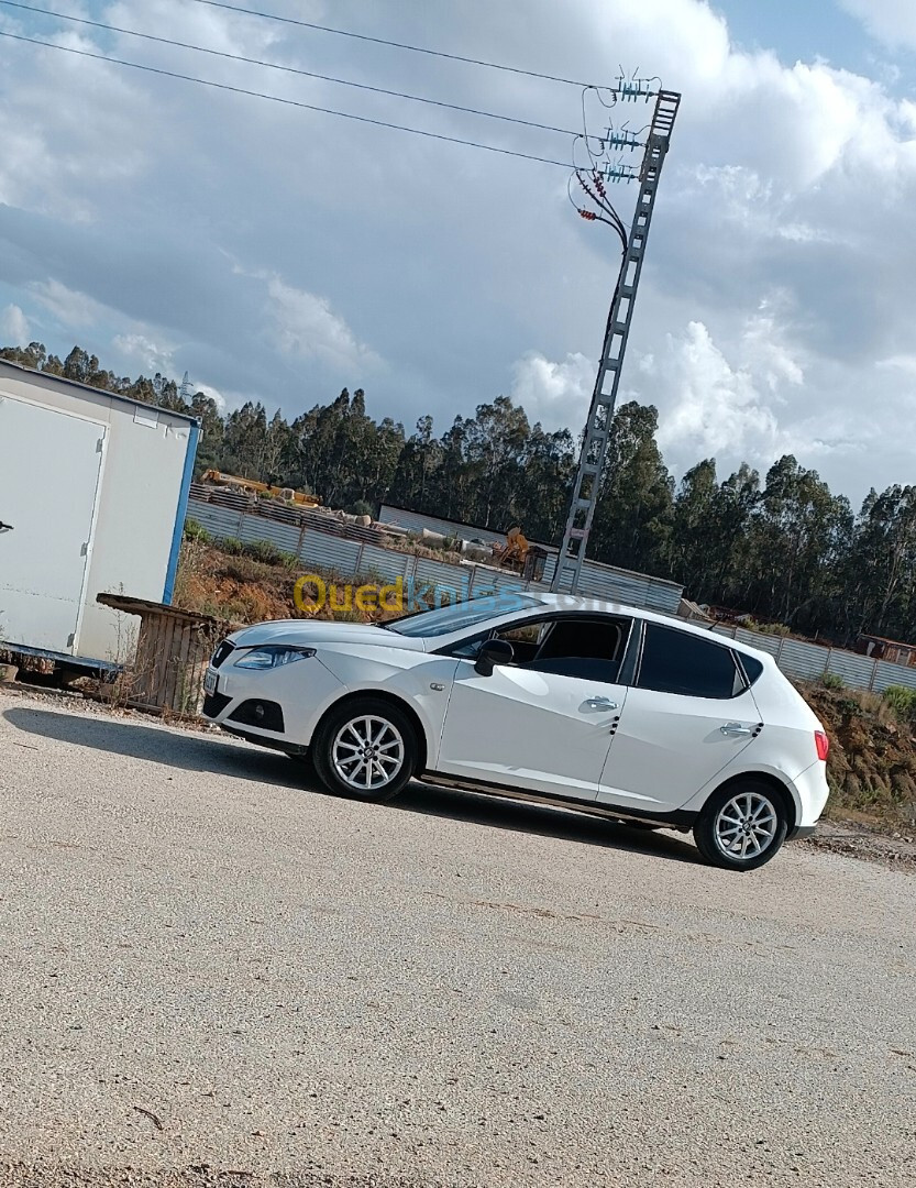 Seat Ibiza 2011 Fully