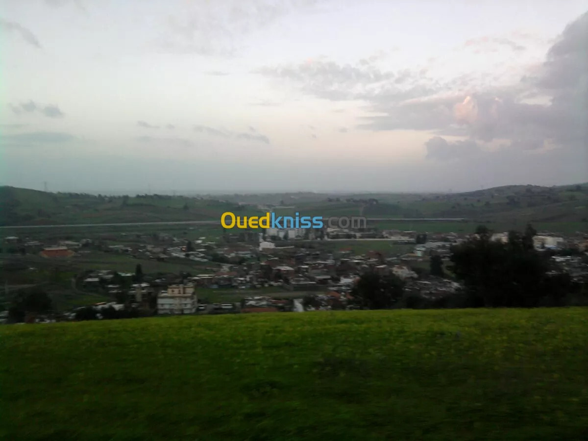 Vente Terrain Boumerdès Larbatache