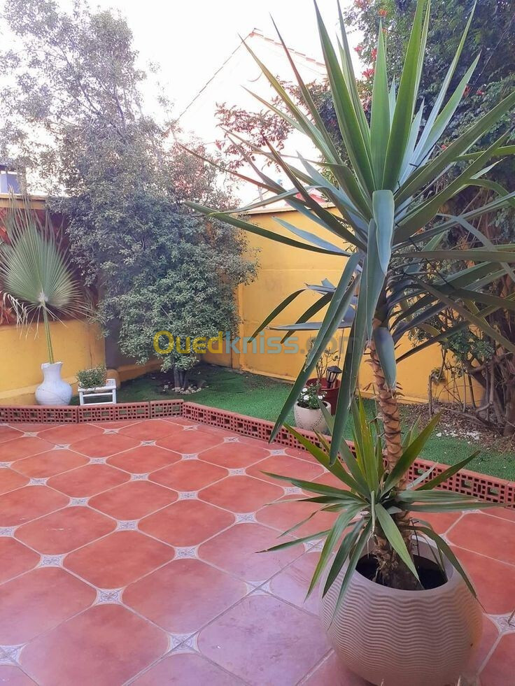 Vente Villa Alger Draria