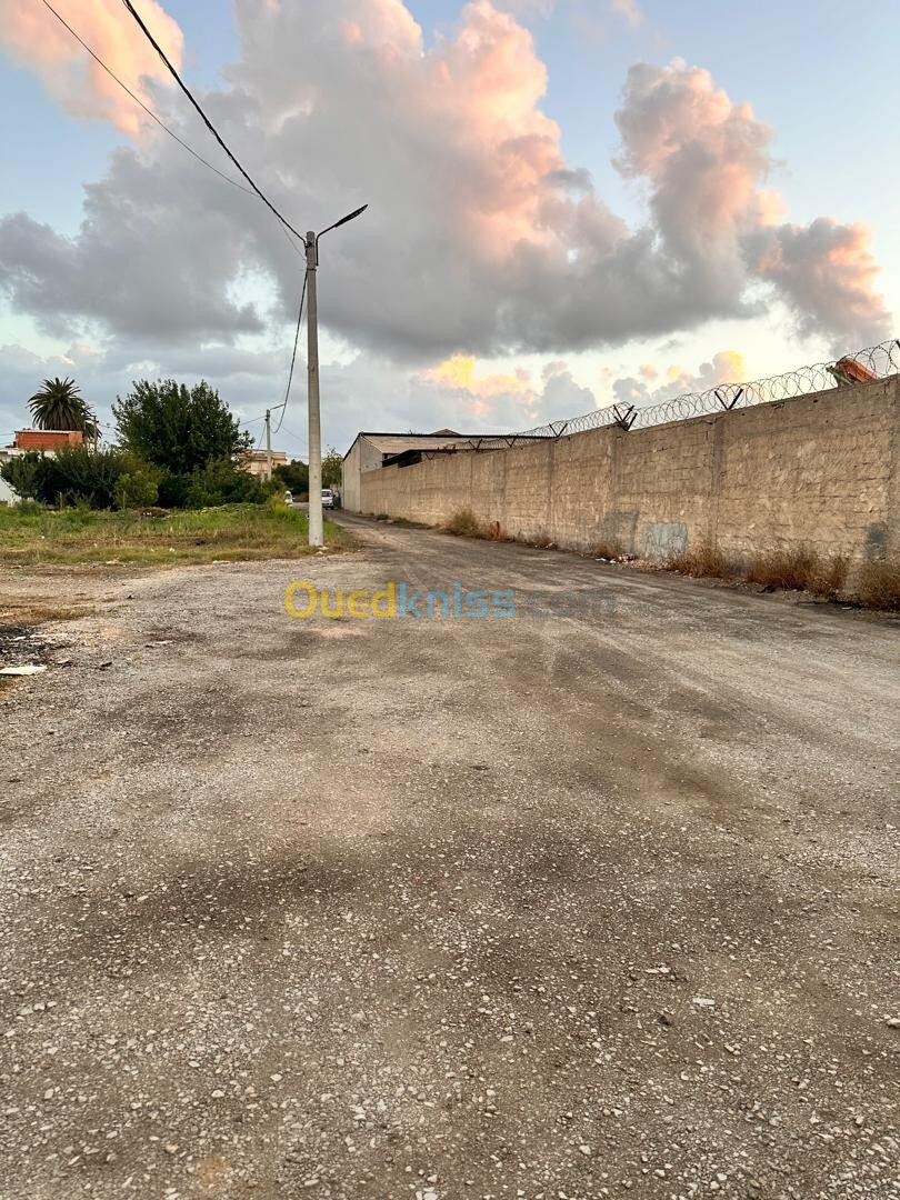 Location Hangar Boumerdès Ouled hedadj