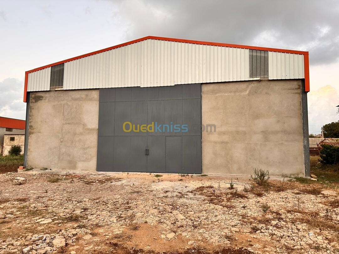 Location Hangar Boumerdès Ouled hedadj