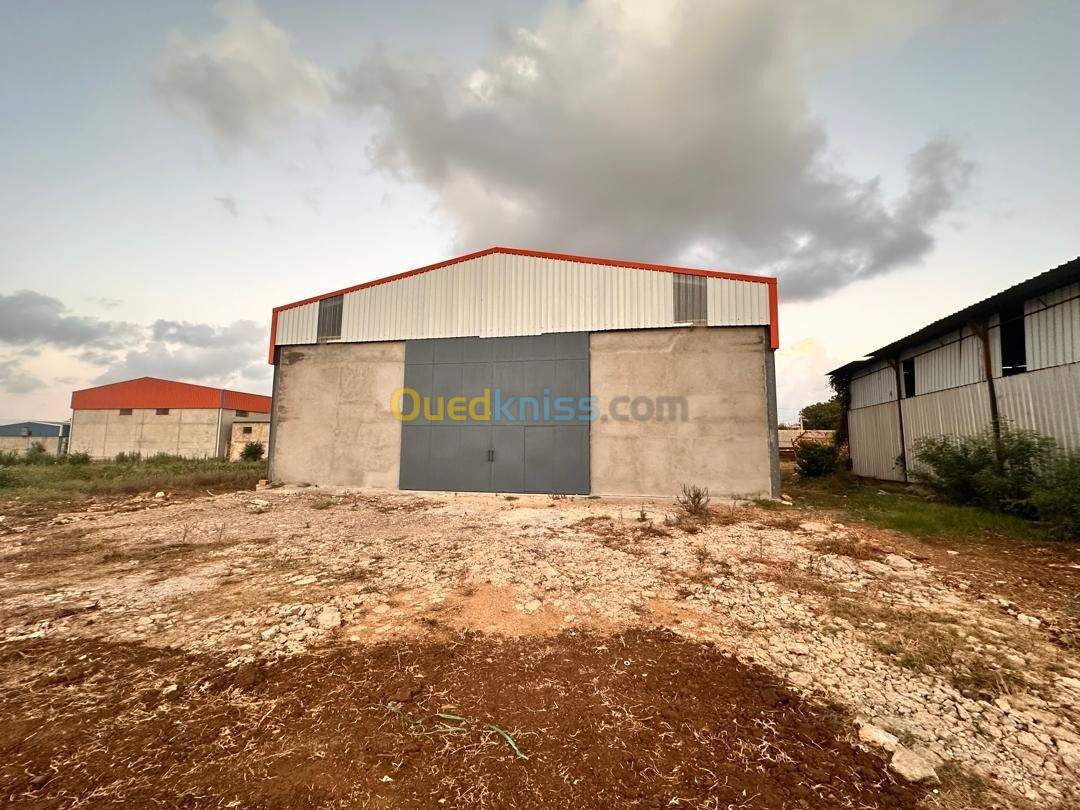 Location Hangar Boumerdès Ouled hedadj