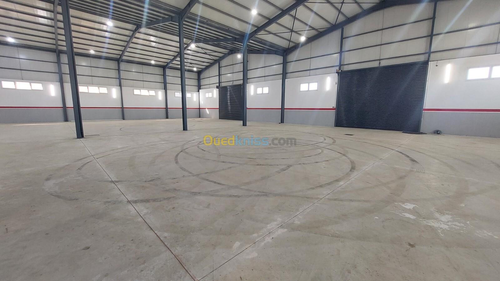 Vente Hangar Bouira Oued el berdi