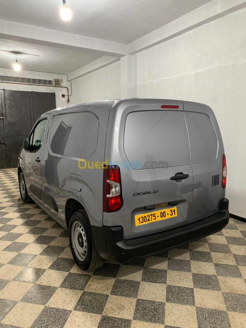 Fiat Doblo 2024 Professional DZ